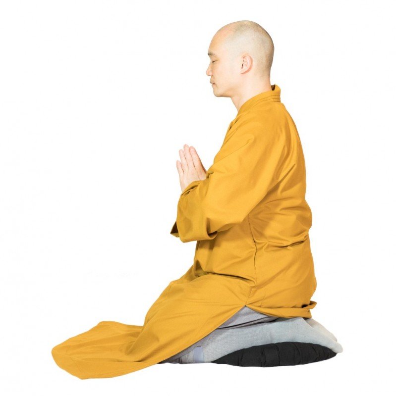/assets/image/Dao-Shi-STQI-Shaolin-Authentic-Traditional-Disciple-20210101-055-162-799x800.jpg