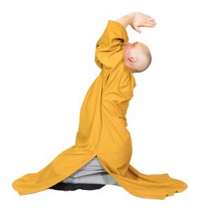 /assets/image/Dao-Shi-STQI-Shaolin-Authentic-Traditional-Disciple-20210101-218_-_Yijinjing-1000px-162-299x300.jpg
