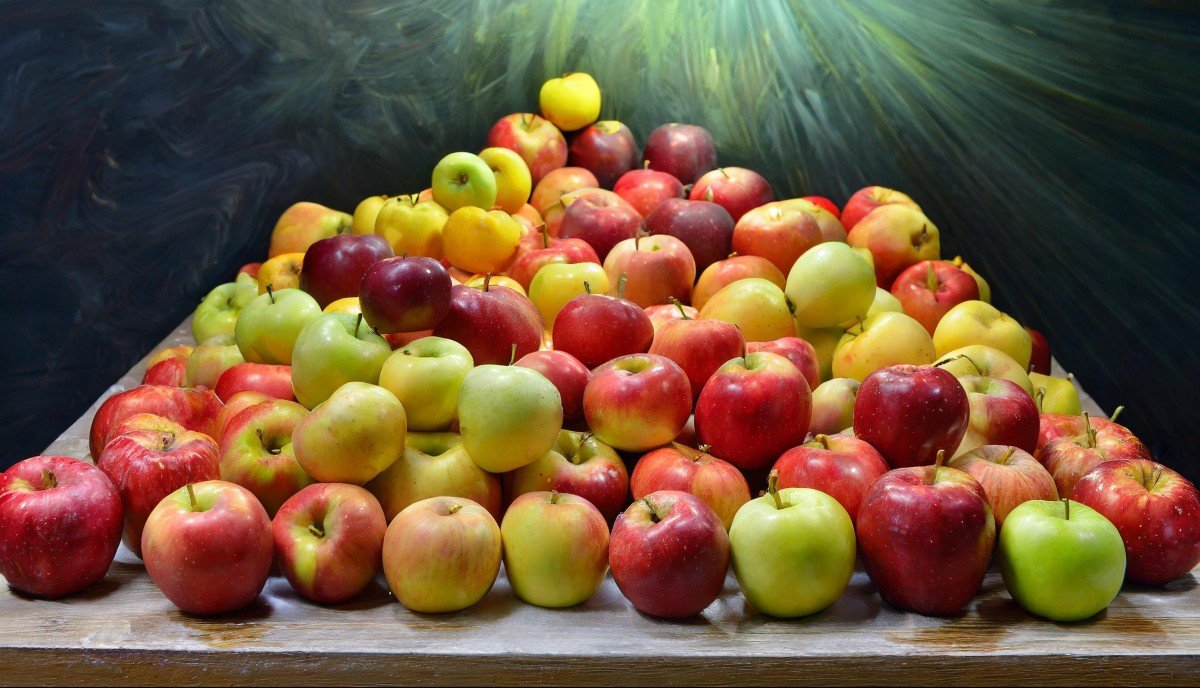 /assets/image/Different-Types-of-Apples-162-bxNM.jpg