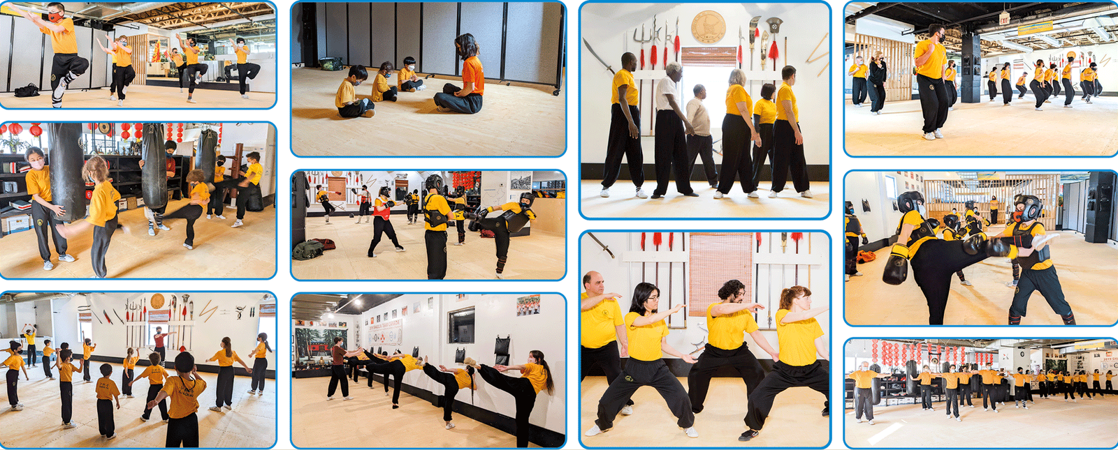 /assets/image/STQI-2022-T2-Summer-Term-Kung-Fu-Qigong-Tai-Chi-Composite-2000w-162.png