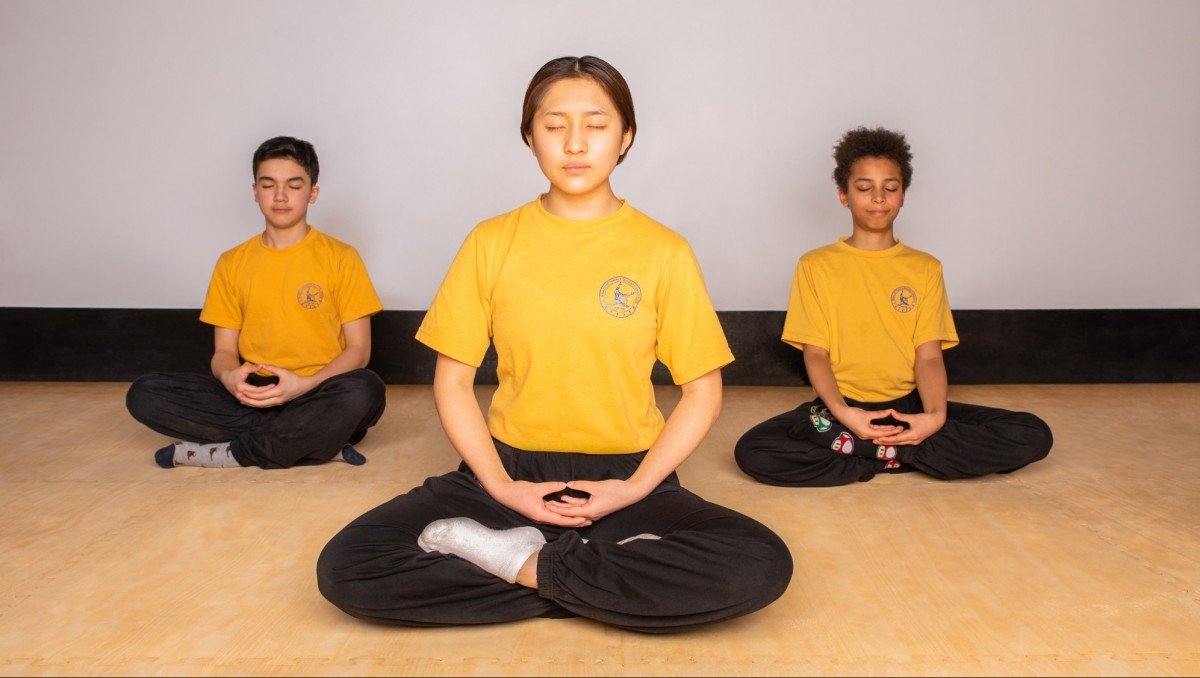 /assets/image/STQI-Toronto-Shaolin-Kung-Fu-Tai-Chi-Qigong-25-162-BrjK.jpg